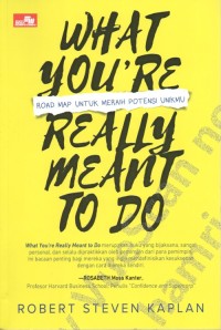 Image of What You're Really Meant To Do